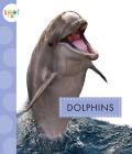 Dolphins (Spot Ocean Animals) By Mari Schuh Cover Image
