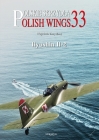 Polish Wings No. 33 Ilyushin Il-2 By Wojciech Zmyslony, Andrzej M. Olejniczak (Illustrator) Cover Image